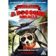 FILME-DOGGONE MIRACLE (DVD)