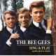 BEE GEES-SING & PLAY 14 BEE GEES.. (LP)