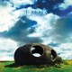 FIAT LUX-SAVED SYMMETRY (CD)
