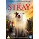 FILME-STRAY (DVD)