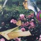 YAN + TERUYUKI KURIHARA-SCRAPBOOK (CD)