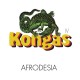 KONGAS-AFRODESIA (12")