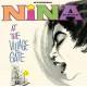 NINA SIMONE-AT THE VILLAGE GATE (CD)