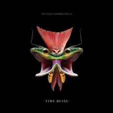 TONY BUCK & MASSIMO PUPILLO-TIME BEING (LP)