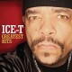 ICE-T-GREATEST HITS (CD)