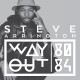 STEVE ARRINGTON-WAY OUT (80-84) (LP)