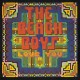 BEACH BOYS-LOVE YOU (LP)