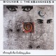 SIOUXSIE & THE BANSHEES-THROUGH THE LOOKING GLASS -REMAST/EXPAN- (CD)