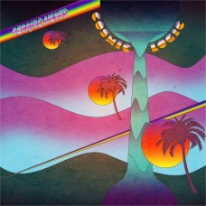 PEAKING LIGHTS-COSMIC LOGIC -HQ- (LP)