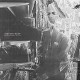 ISOTOPE SOAP-MONITORED BY ZU TSE (LP)