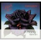 THIN LIZZY-BLACK ROSE -DELUXE- (2CD)