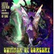 LITTLE STEVEN AND THE DISCIPLES OF SOUL-SUMMER OF SORCERY (CD)
