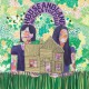 HOUSE AND LAND-ACROSS THE FIELD (LP)