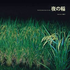 REIKI KUDO-RICE FIELD SILENTLY.. (LP)
