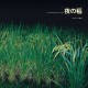 REIKI KUDO-RICE FIELD SILENTLY.. (LP)