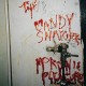 CANDY SNATCHERS-MORONIC PLEASURES (LP)