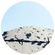 NOSUCHKEY-AOM003 (12")