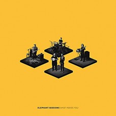 ELEPHANT SESSIONS-WHAT MAKES YOU (CD)