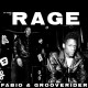 FABIO & GROOVERIDER-30 YEARS OF RAGE PART 3 (2-12")