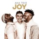 AKA TRIO-JOY (CD)
