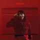 GLITTERER-LOOKING THROUGH THE.. (CD)