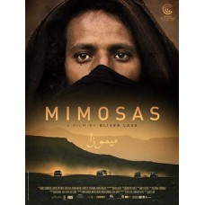 FILME-MIMOSAS (DVD)
