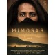 FILME-MIMOSAS (DVD)