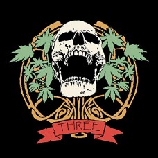 LIGHTBULB VAPORIZER-THREE (CD)