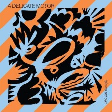 A DELICATE MOTOR-FELLOVER MY OWN (LP)