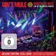 GOV'T MULE-BRING ON THE MUSIC (2CD+2DVD)