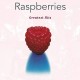 RASPBERRIES-GREATEST HITS -COLOURED- (LP)