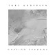 TOBY ANDERSEN-CHASING SHADOWS (LP)