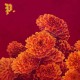 PROPER.-I SPENT THE WINTER.. (CD)