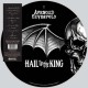 AVENGED SEVENFOLD-HAIL TO THE KING -PD- (2LP)