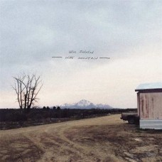 WILL JOHNSON-WIRE MOUNTAIN (CD)