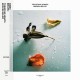 TOSHIFUMI HINATA-BROKEN BELIEF (LP)
