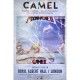 CAMEL-AT THE ROYAL ALBERT HALL (DVD)