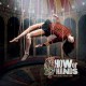 SHOW OF HANDS-BATTLEFIELD DANCE FLOOR (CD)