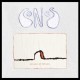 CONES-PICTURES OF PICTURES (LP)