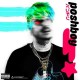 ITSOKTOCRY-POSHBOY! -COLOURED- (LP)
