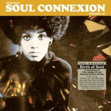 V/A-AMERICAN SOUL CONNEXION.. (2LP)