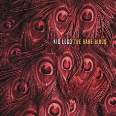 KID LOCO-RARE BIRDS (CD)