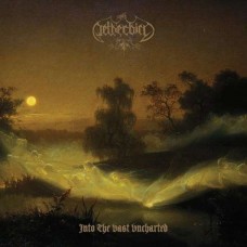 NETHERBIRD-INTO THE VAST UNCHARTED (CD)