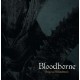 B.S.O. (BANDA SONORA ORIGINAL)-BLOODBORNE -HQ- (2LP)
