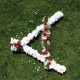 CASSELS-PERFECT ENDING (LP)