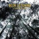 JOHNNY FLYNN-BEEN LISTENING (LP)