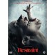 FILME-RESTRAINT (DVD)