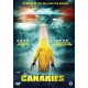 FILME-CANARIES (DVD)