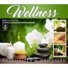 V/A-WELLNESS -.. -DIGI- (3CD)