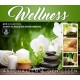 V/A-WELLNESS -.. -DIGI- (3CD)